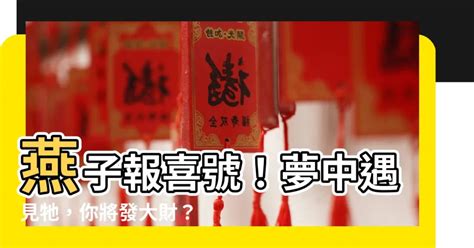 小鳥代表幾號|【小鳥代表幾號】夢中飛翔的小鳥 代表你的號碼竟是…？ – 每日。